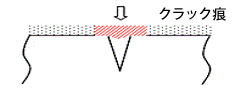 ZT菇5