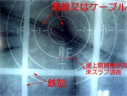 �B�e�t�B�����摜